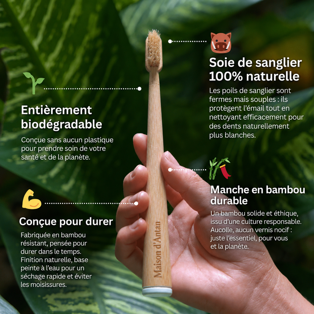 Lot de 4 Brosses 100% Naturelles — Soie de Sanglier & Bambou, 0% Plastique