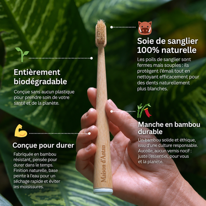 Lot de 4 Brosses 100% Naturelles — Soie de Sanglier & Bambou, 0% Plastique