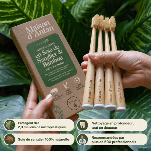 Lot de 4 Brosses 100% Naturelles — Soie de Sanglier & Bambou, 0% Plastique