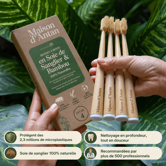 Lot de 4 Brosses 100% Naturelles — Soie de Sanglier & Bambou, 0% Plastique
