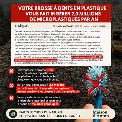 Lot de 4 Brosses 100% Naturelles — Soie de Sanglier & Bambou, 0% Plastique