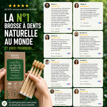Lot de 4 Brosses 100% Naturelles — Soie de Sanglier & Bambou, 0% Plastique